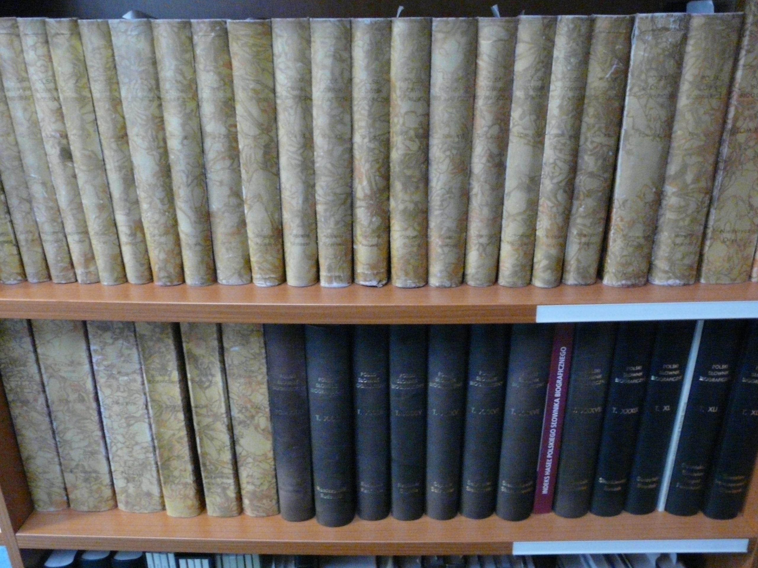 Książki na półkach - Polski Słownik Biograficzny w Bibliotece Śląskiej.